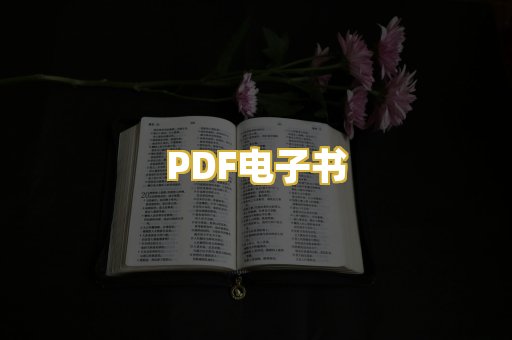 PDF电子书